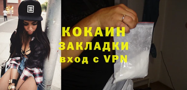 индика Беломорск