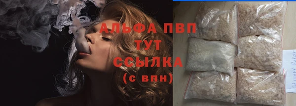 индика Беломорск