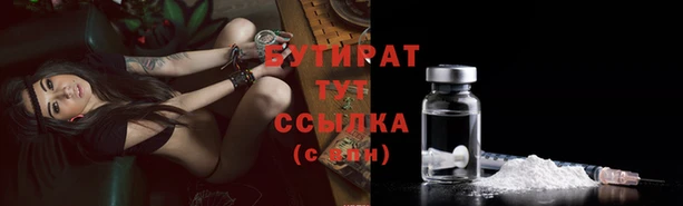 индика Беломорск
