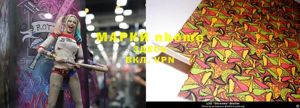 индика Беломорск