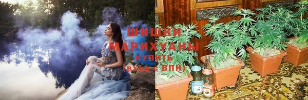 индика Беломорск