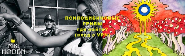 индика Беломорск