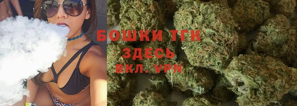 индика Беломорск