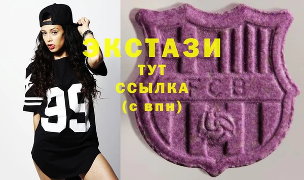индика Беломорск