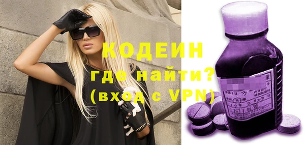 индика Беломорск