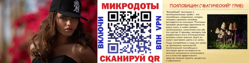 Псилоцибиновые грибы GOLDEN TEACHER  сколько стоит  Оха 