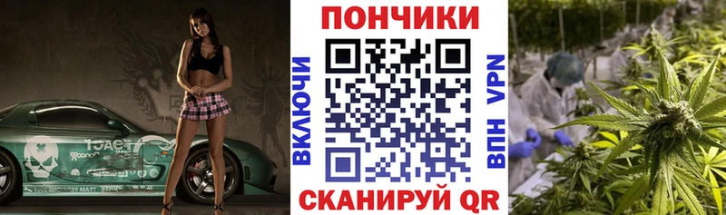 Бошки марихуана Bruce Banner  Оха 